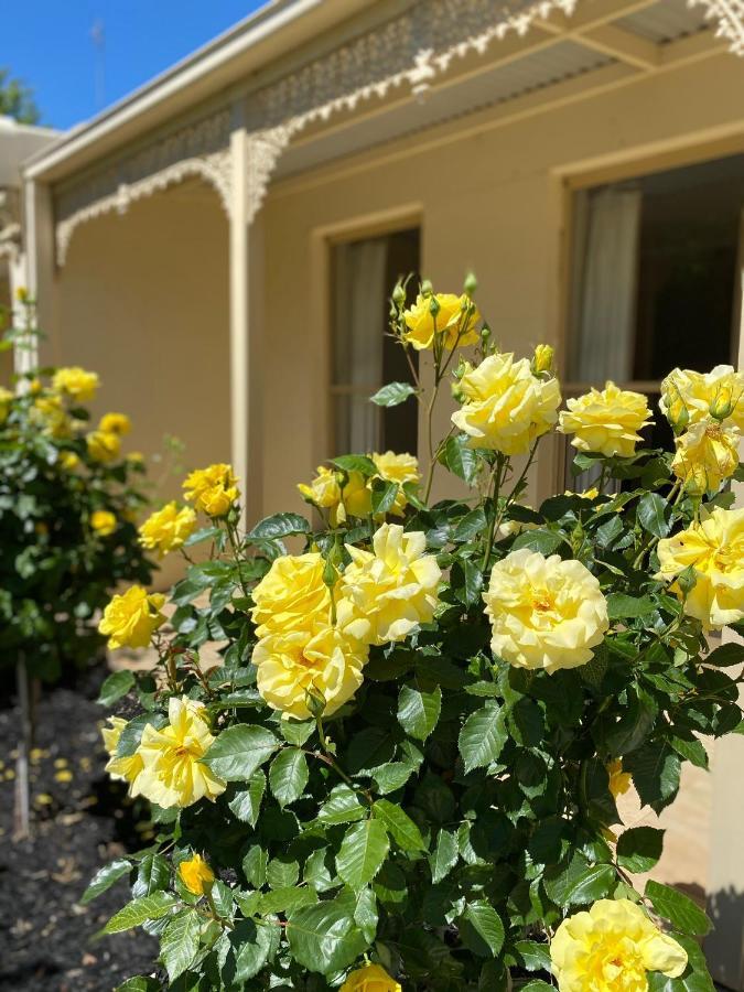Acacia Terraces Aparthotel Echuca Bagian luar foto
